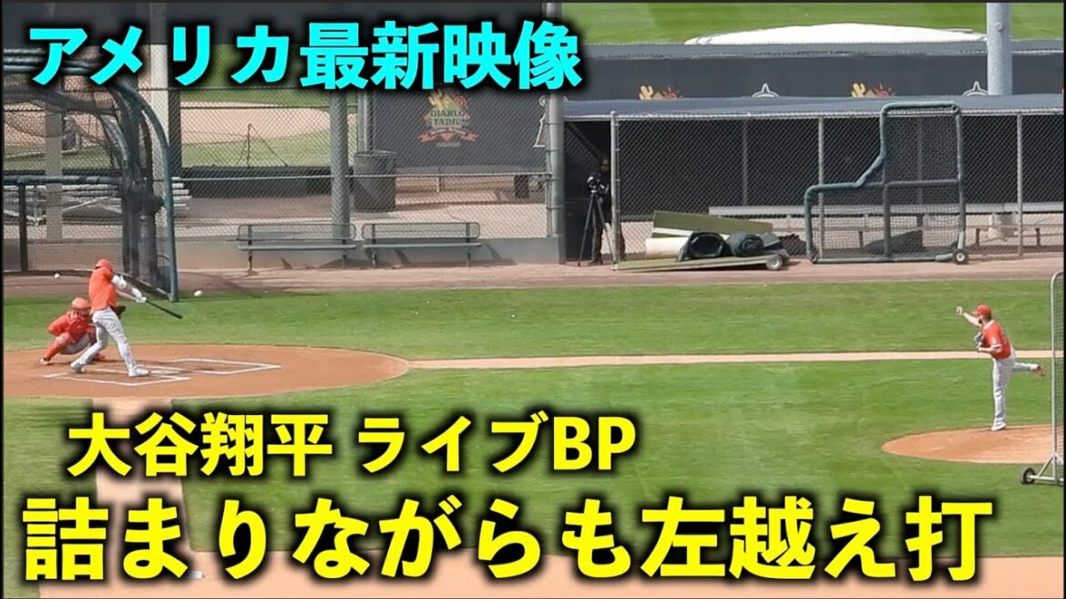 La dernière vidéo américaine ! Batter Shohei Ohtani affronte Silses au Live BP! Angels[Images locales]Spring Camp 2023[Images locales]