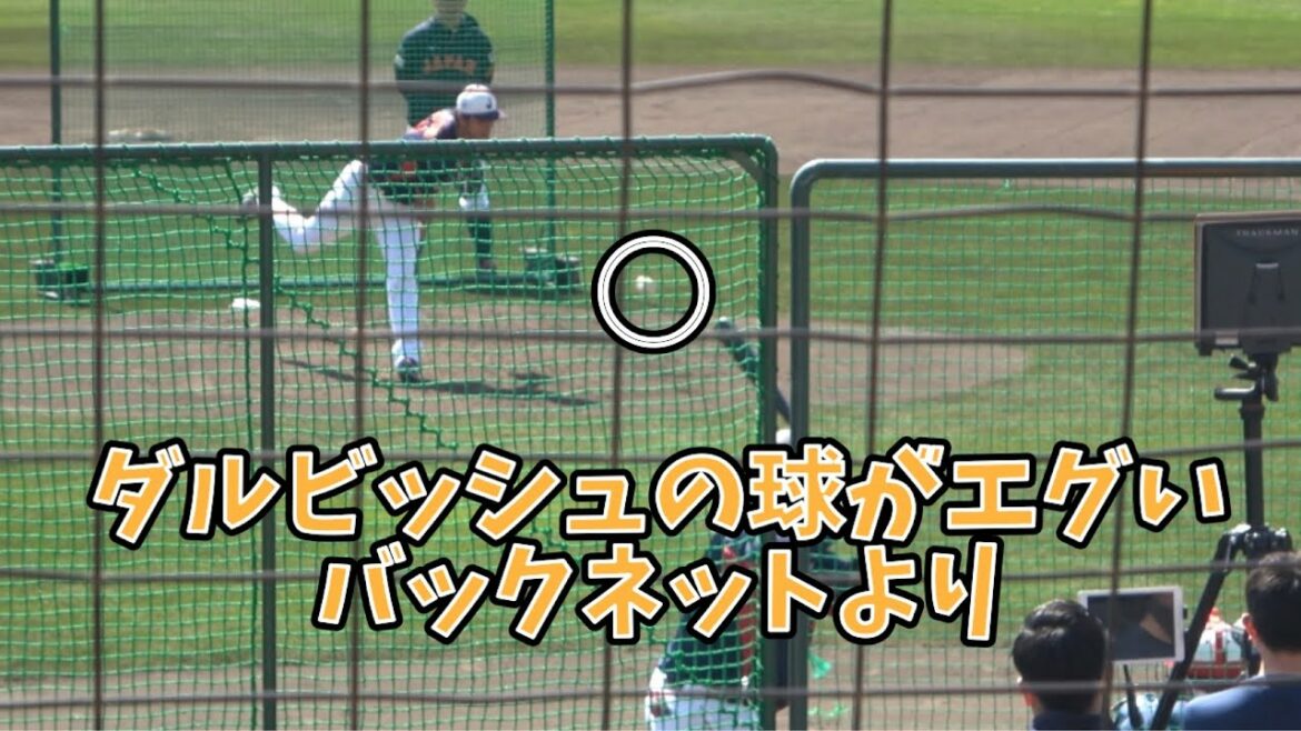 Yu Darvish ✨ Entrainez-vous au pitch du format !!  ️ Demon Slider Show (^^) Du filet arrière ⚾️ Hawks Nine est également curieux 🥰 contre Takuya Kai & Hodaka Yamakawa ⚾️ Du match d'envoi WBC 2023.2.26