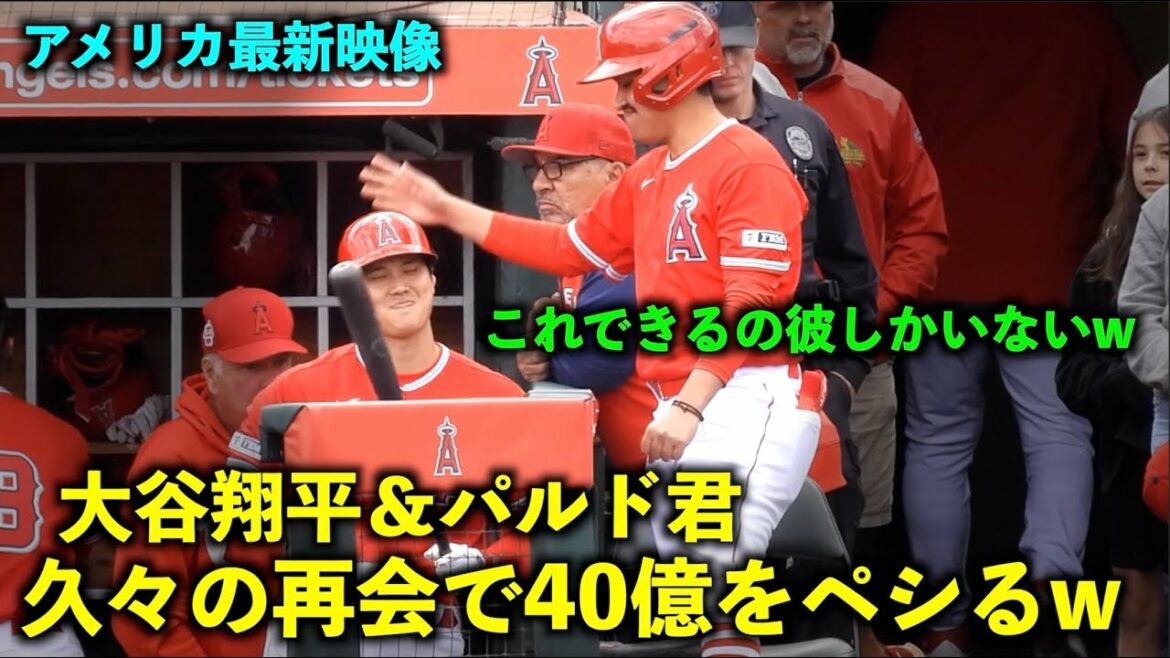 [Dernière vidéo américaine]Trop fort avec Pardo de BB qui tape sur la tête de Shohei Otani à la réunion après une longue absence au Spring Camp 2023