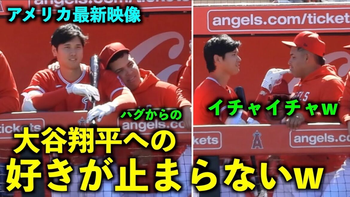 [Dernière vidéo aux États-Unis]L'amour imparable de Suarez Shohei Ohtani w Et attention au flirt qui commence ! Camp de printemps 2023[vidéo locale]