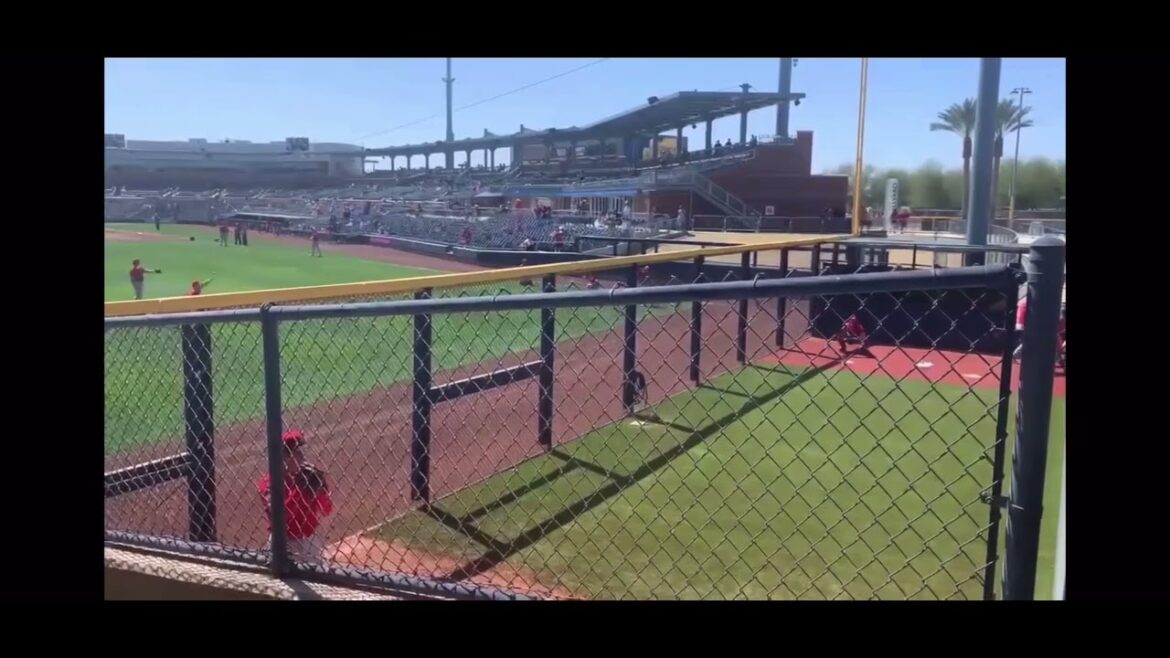 Shohei Ohtani lance dans l'enclos des releveurs