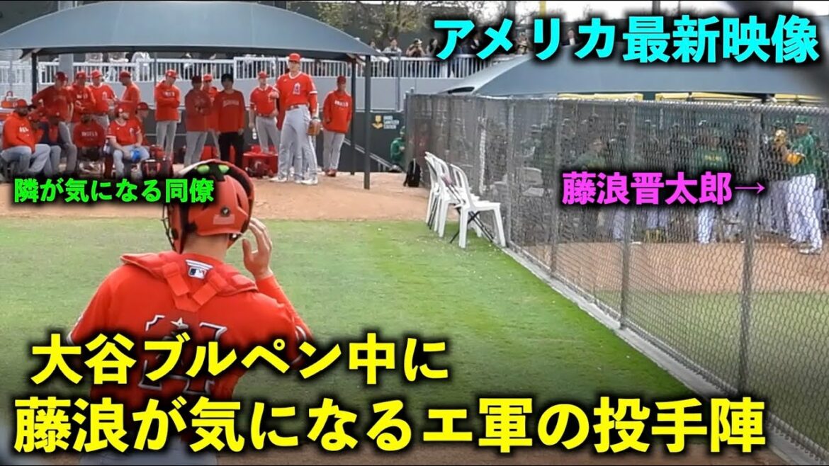 [La dernière vidéo d'America]Ça fait 9 ans ! Les lanceurs de Shohei Ohtani s'inquiètent également pour Fujinami du côté de l'enclos des releveurs ! Camp de printemps 2023[Vidéo locale]