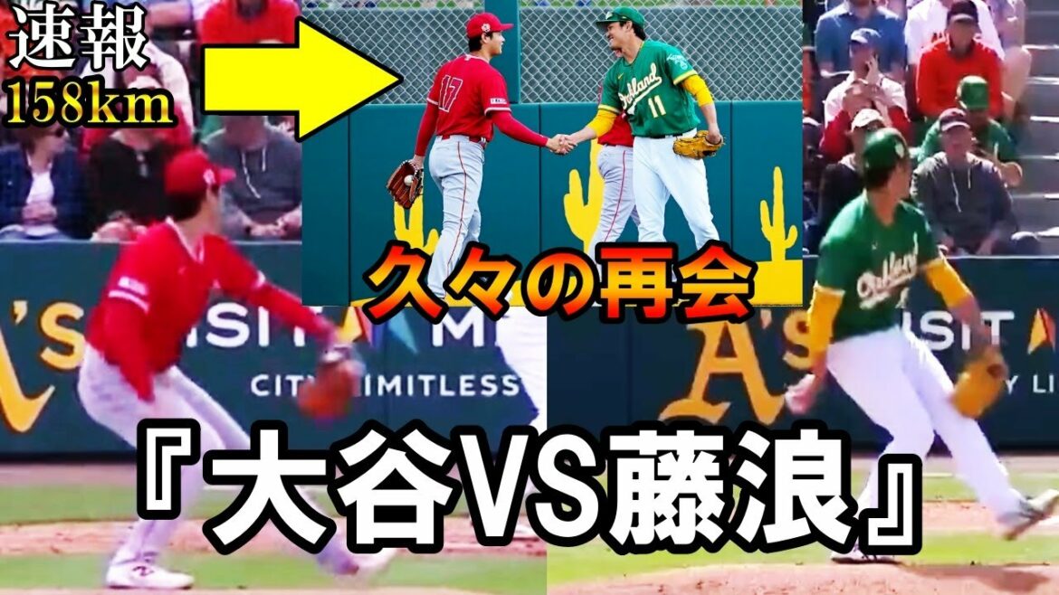 [Shohei Otani]"Otani VS Fujinami" se lancent pour la première fois en 9 ans ! Frappez le spectacle ensemble ! Shohei Otani et Fujinami se retrouvent après une longue absence !  Shohei OhtaniPlus