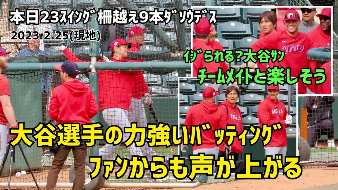 Le bâton libre d'Ohtani que même les fans élèvent la voix Shohei Ohtani Angels Shohei Ohtani
