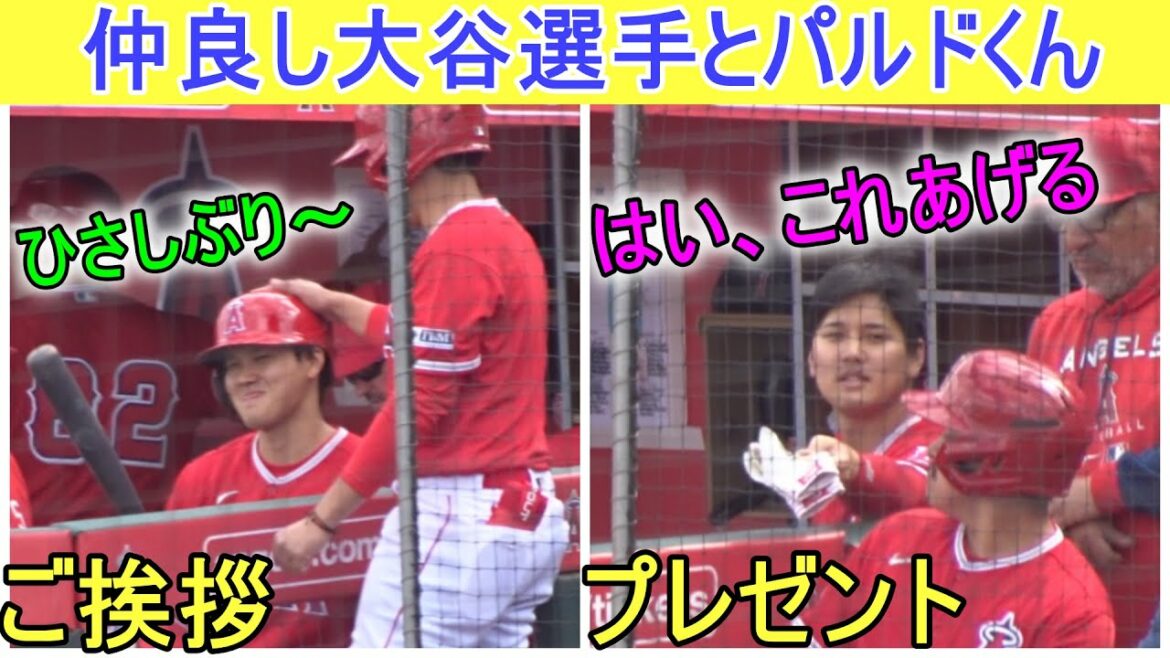 Salutations avec le bon ami BB Pardo[Shohei Ohtani]Shohei Ohtani 2023 Spring Game Day 2