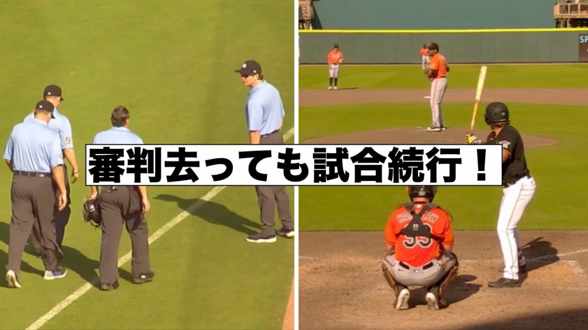 L'arbitre rentre chez lui et le jeu continue ! Seiya Suzuki arrivera-t-elle à temps pour l'ouverture ? Lux désespère cette saison !