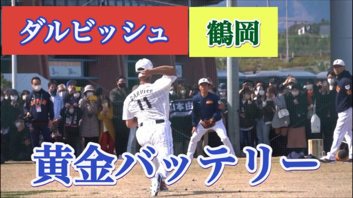 Nippon-Ham Golden Battery Resurrection ❗️ Yu Darvish et le receveur Tsuruoka ❗️ WBC Samurai Japan Miyazaki Camp