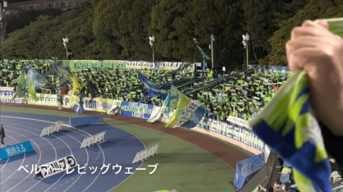 20230308 SHONAN BELLMARE Chants de Levain Cup Sec.1 YLC Section 1 Shonan Bellmare Chants Citron S 20230308 SHONAN BELLMARE Chants de Levain Cup Sec.1 YLC Section 1 Shonan Bellmare Chants Citron S
