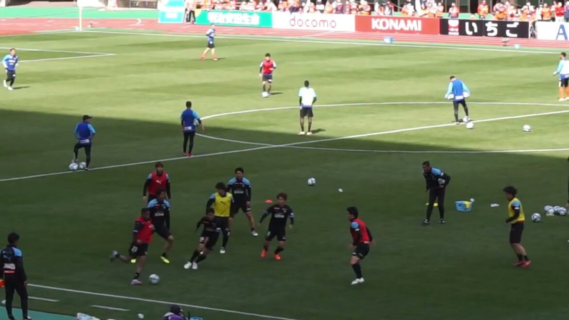 Membre titulaire Torikago[20230311 Meiji Yasuda J1 League Kawasaki Frontale Albirex Niigata @ Denka Big Swan Stadium]#frontale