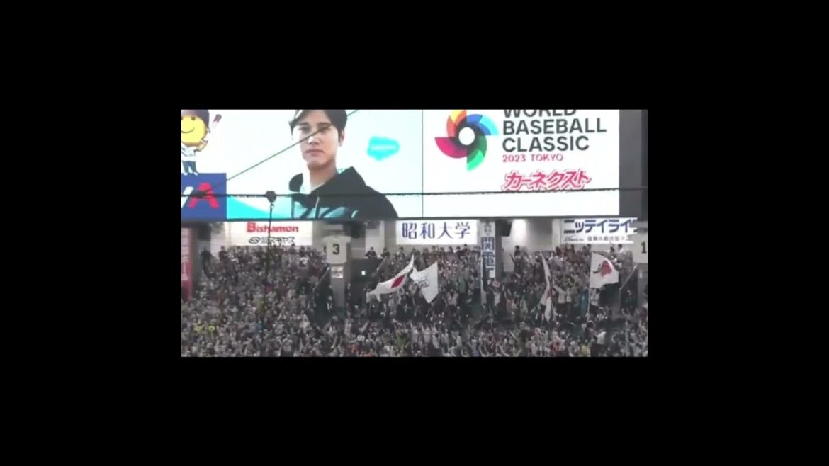 [WBC]Je vais frapper mon panneau ~[Shohei Otani]