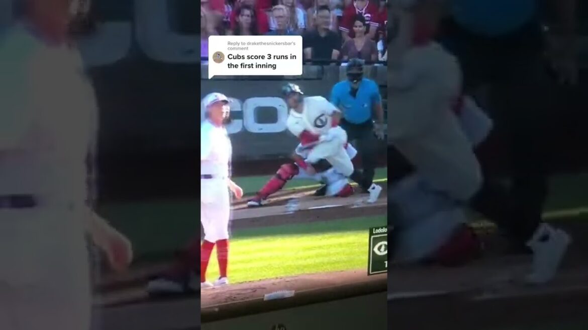 Champ de rêves jeu Les Cubs de Chicago marquent les premières choses à Seiya Suzuki.