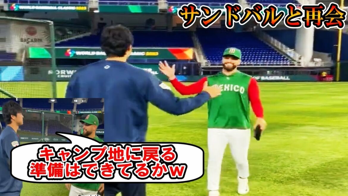 [Shohei Ohtani]Ohtani va saluer Sandoval !  "Êtes-vous prêt à retourner au camping ? w" Jouez contre l'équipe nationale mexicaine !Samouraï Japon