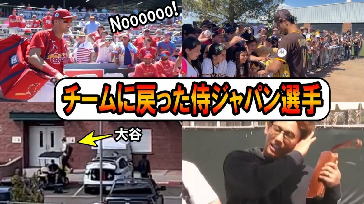 Les joueurs de Samurai Japan qui sont revenus dans l'équipe ! Noot bar "Nooooot!" Shohei Otani et Darvish rejoignent également l'équipe !