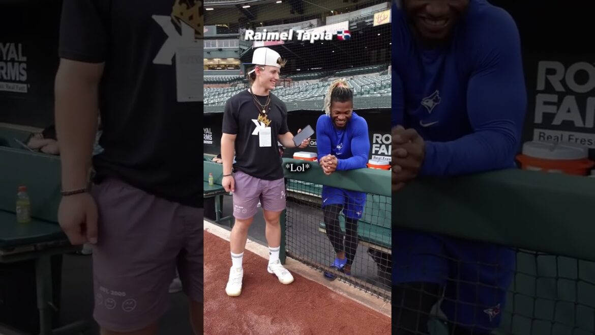 Les options de carrière alternatives des Blue Jays sont géniales 🔥😂😂 #shorts