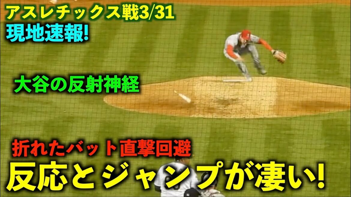 Nouvelles locales! Super réaction ! Shohei Otani évite les coups directs de chauve-souris avec des réflexes incroyables ! Angels[vidéo locale]Match d'athlétisme 31/03