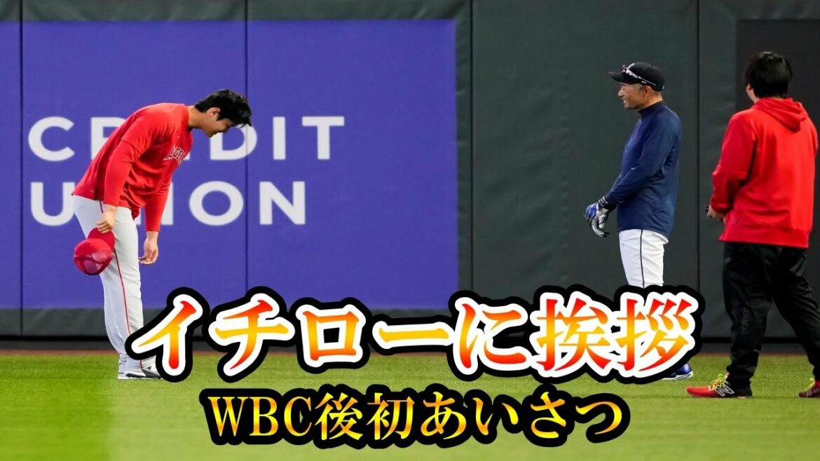 [Shohei Ohtani]Ohtani va saluer Ichiro pour la première fois après le WBC ! Amusez-vous à parler !  Shohei OhtaniPlus