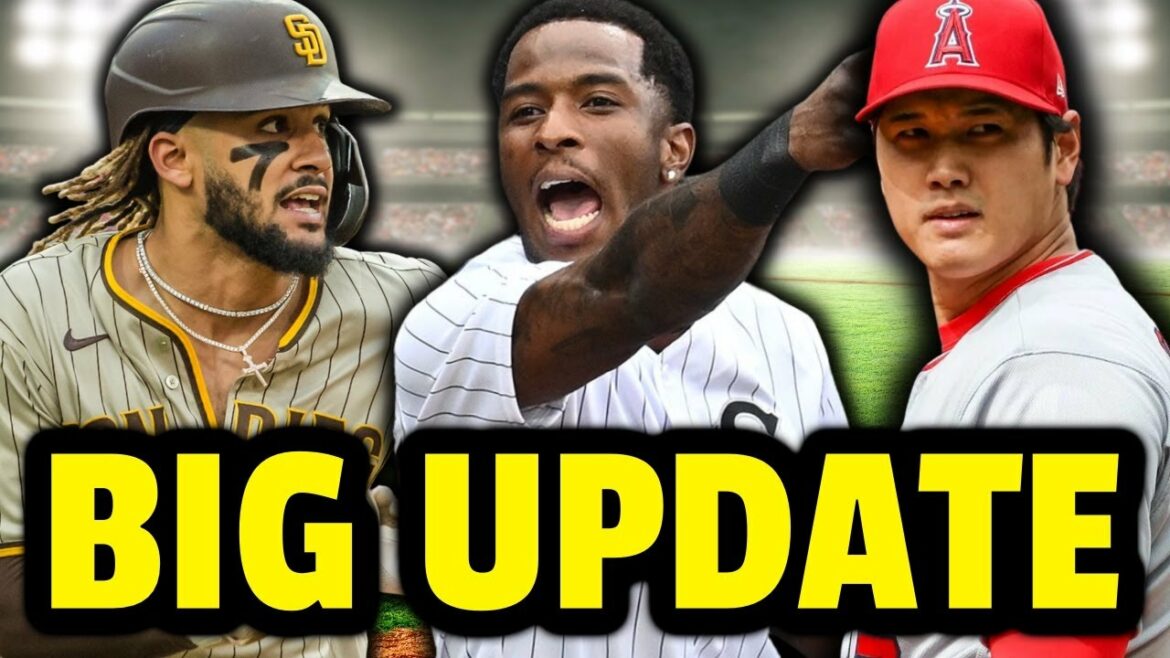 Fernando Tatis Jr est de RETOUR !?  Tim Anderson expulsé pour une raison stupide, Shohei Ohtani (MLB Recap)