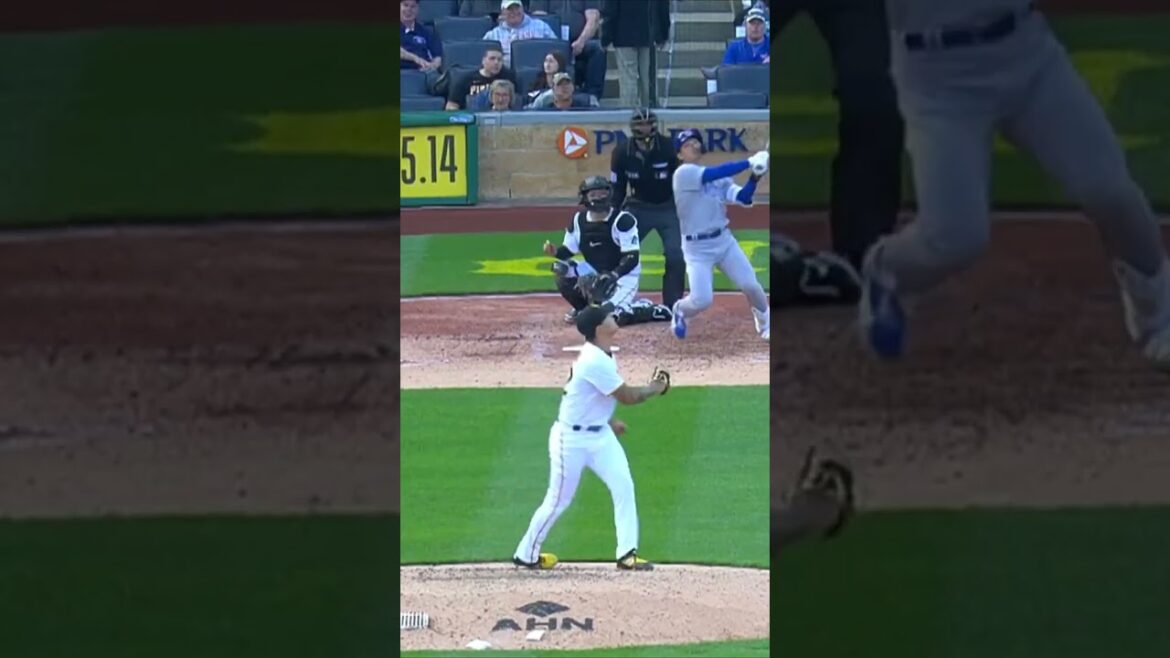 Seiya Suzuki sera bientôt de retour avec les Cubs... 👀