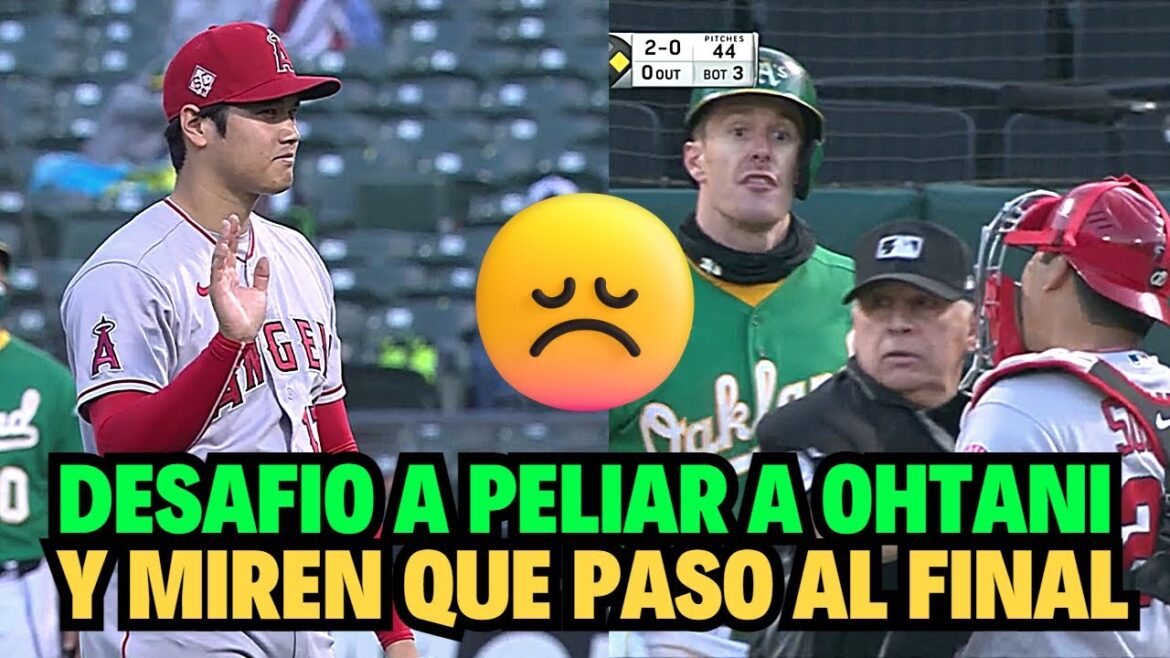 CE FRAPPEUR EXPLOSE ET DÉFIE SHOHEI OHTANI DE COMBATTRE ET DE REGARDER COMMENT IL LUI A RÉPONDU