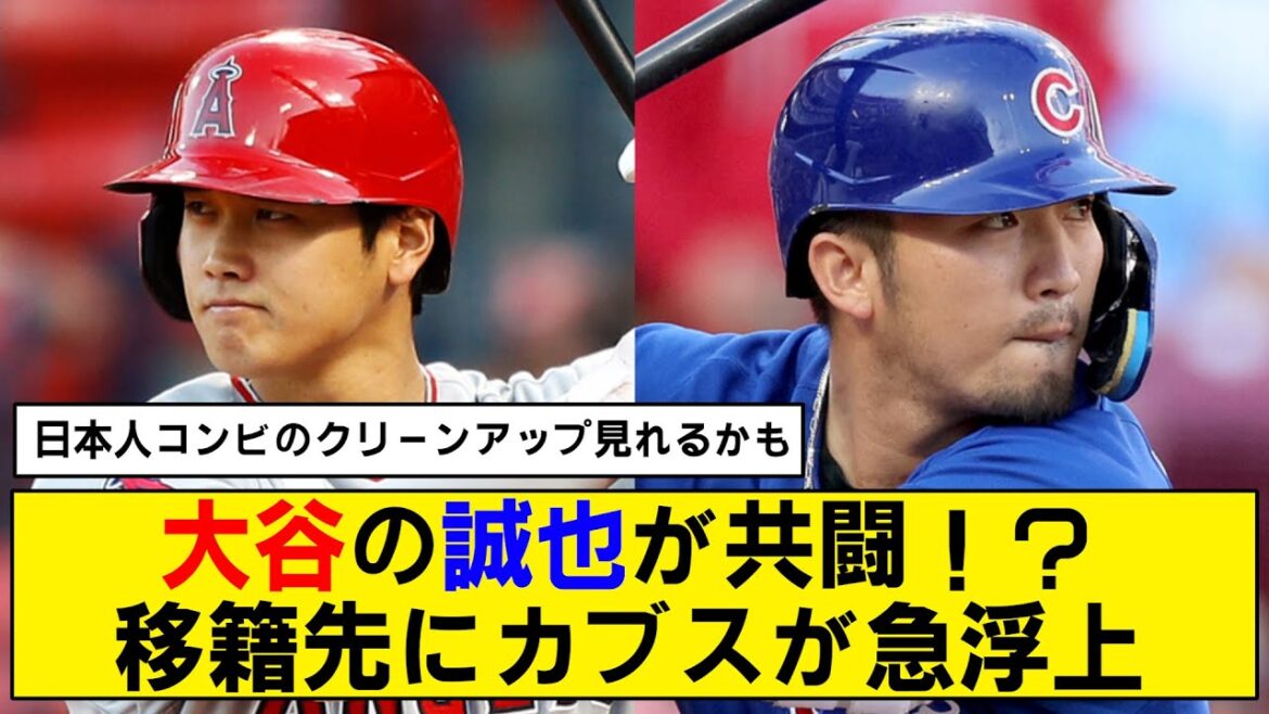 [Transfert]Le duo japonais de Shohei Otani et Seiya Suzuki a été réalisé !  ?[Louveteaux]