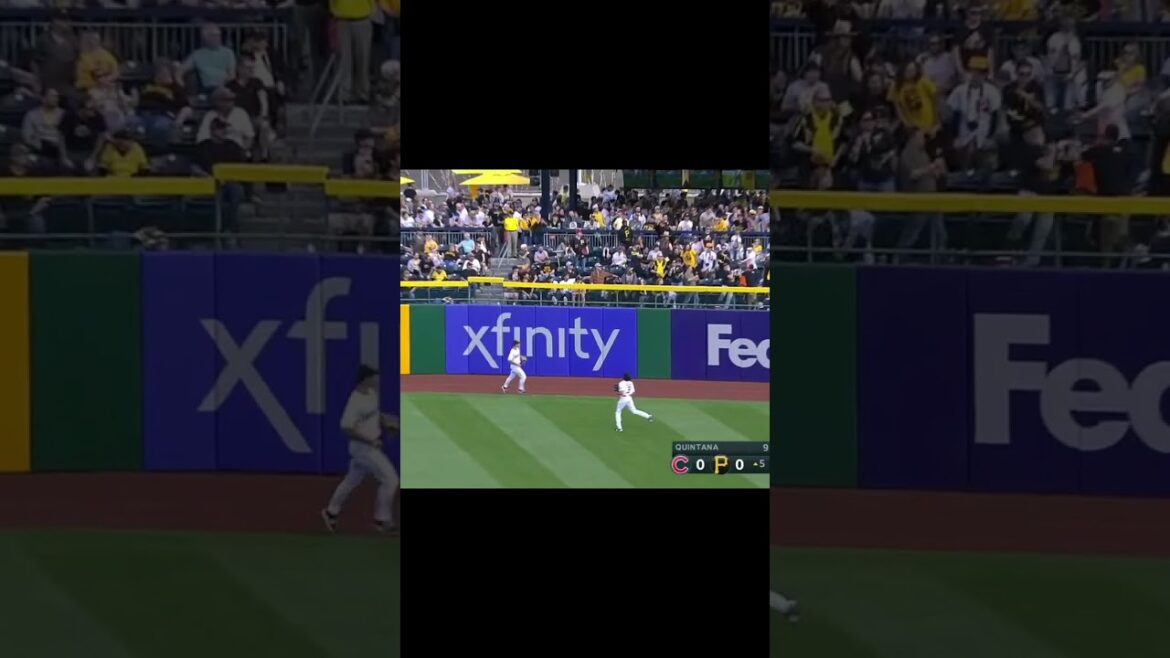 [WBC Team Japan] Seiya Suzuki (DE)