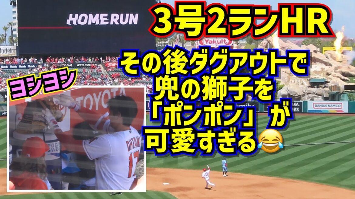 Trop mignon!!  ️ Shohei Ohtani n°3 2-run home run Après ça, dans la pirogue, le lion sur le casque "pom-pom"[Vidéo locale]4/9 vs Blue Jays ShoheiOhtani HomeRun Angels