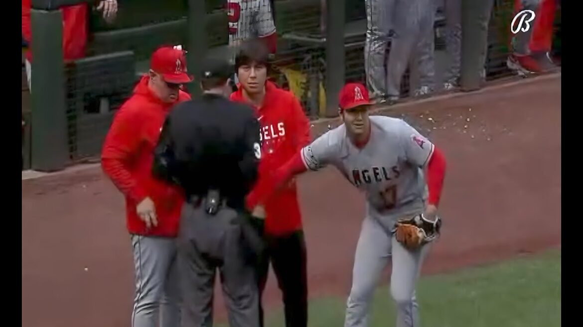 Shohei Ohtani vole des balles à l'arbitre 😂🤣 !!!