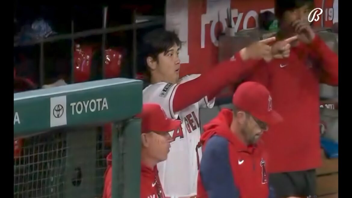 Shohei Ohtani est terrifié lorsqu’il se fait presque toucher par une mauvaise balle 🤣 !!! Shohei Ohtani est terrifié lorsqu'il se fait presque toucher par une mauvaise balle 🤣 !!!