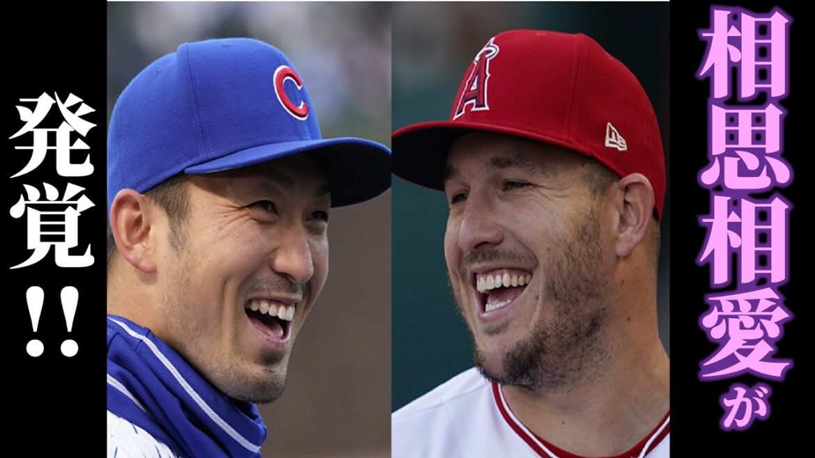 L'amour mutuel entre Seiya Suzuki et Trout découvert ![Shohei Ohtani]