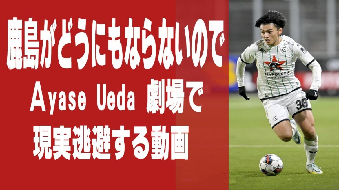 Regardez les buts d'Ayase Ueda (2022/2023) 17 buts