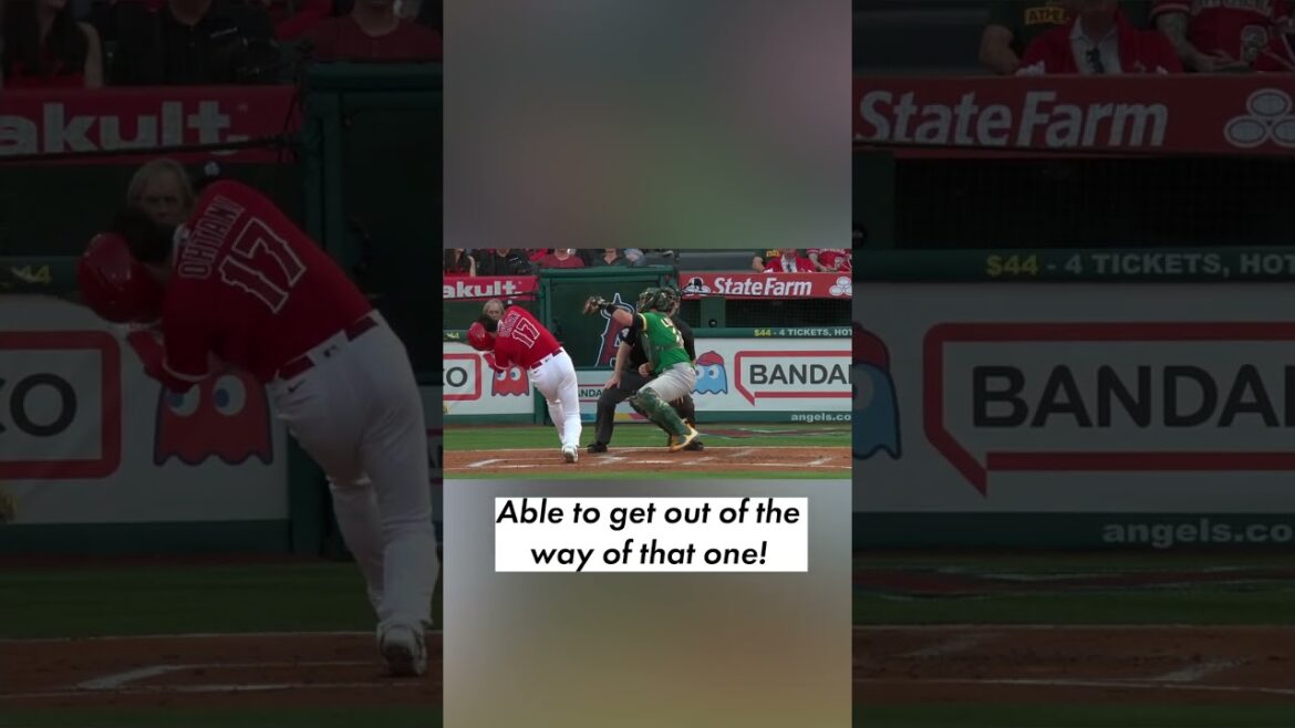 👀⚾ Shohei Ohtani pousse un cri perçant après avoir esquivé un terrain très proche |  #short |  NYP Sports 👀⚾ Shohei Ohtani pousse un cri perçant après avoir esquivé un terrain très proche |  #short |  NYP Sports
