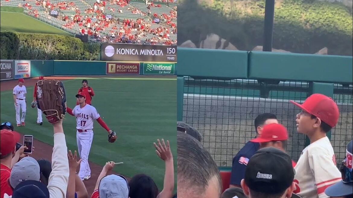Shohei Ohtani donne un ballon à un jeune garçon avec une réaction inestimable