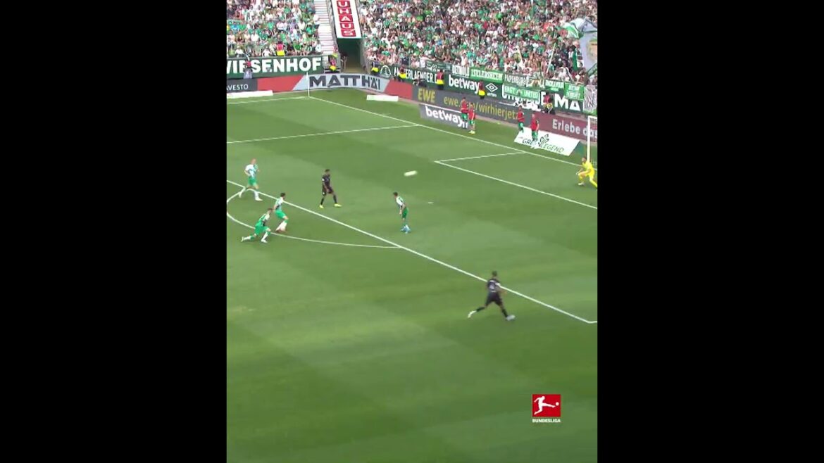 Allemagne 1er capitaine de Stuttgart Endo Wataru meilleur but