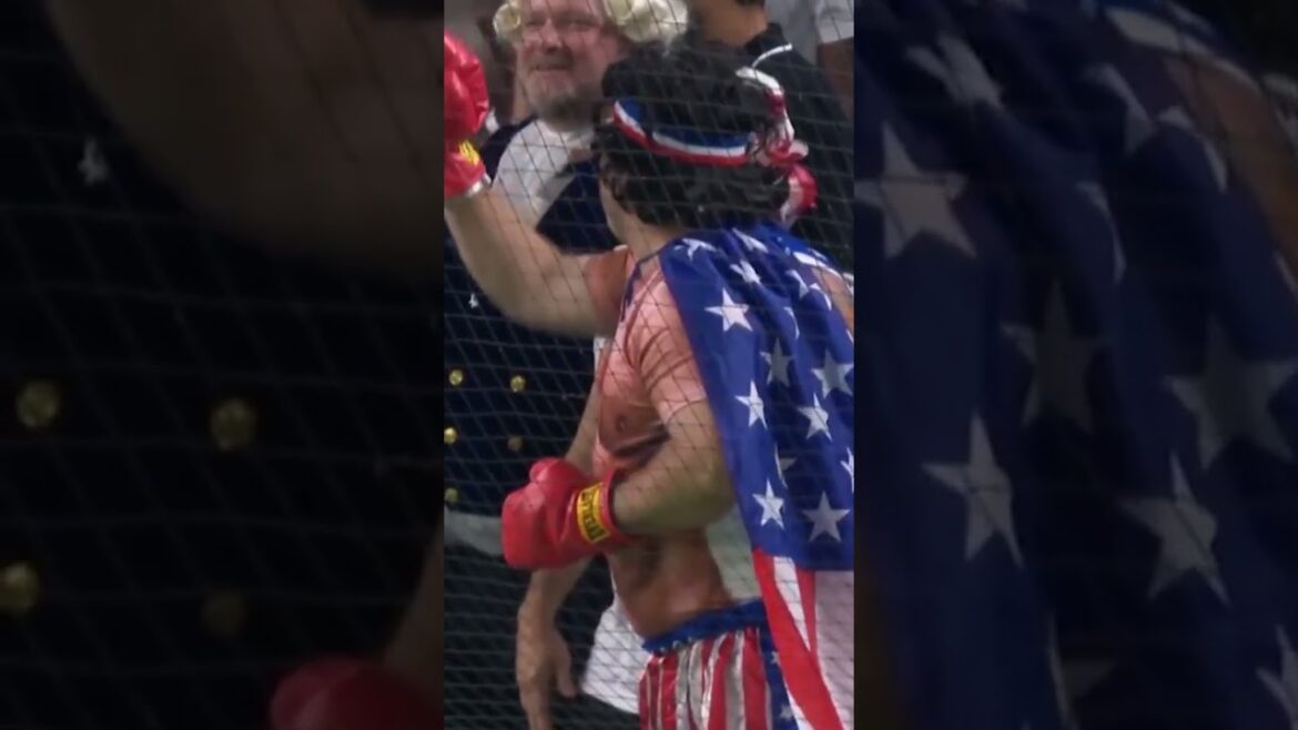 Un fan de baseball WBC perd son téléphone portable à domicile par Schwarber |  Japon contre États-Unis |  Classique mondiale de baseball