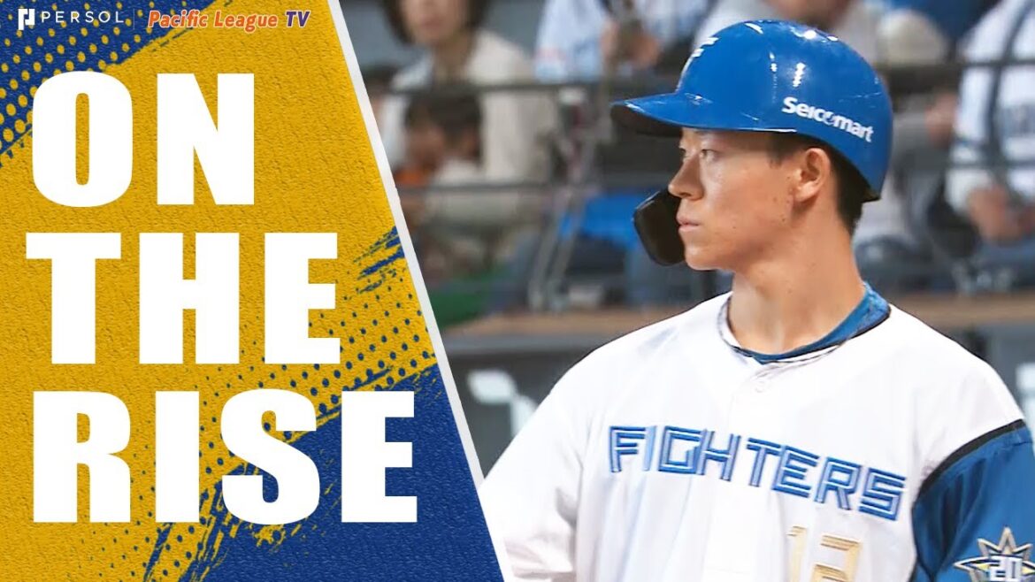 La ville de Yazawa invoque les souvenirs de Shohei Ohtani 30/04/23