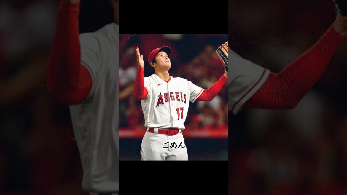 désolé trop génial