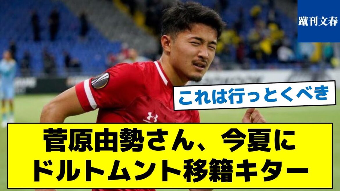 [Le successeur d'Hiroki Sakai sera trouvé]Yusei Sugawara sera transféré à Dortmund cet été