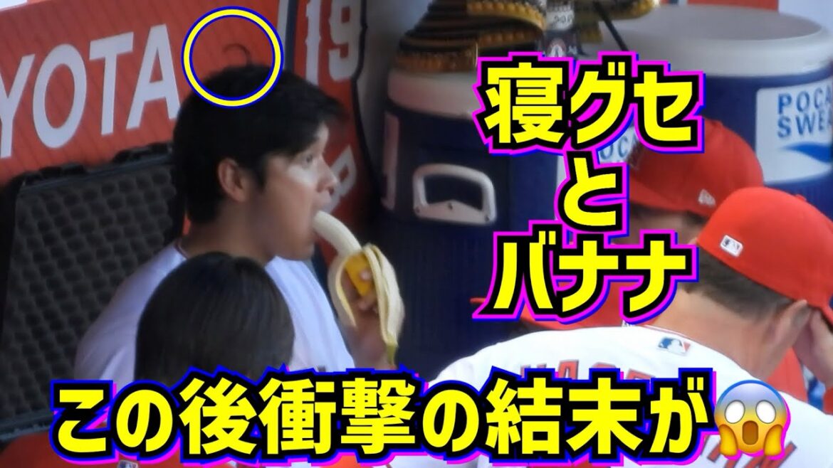 "Sleep Habit and Banana" de Shohei Ohtani La fin choquante de l'habitude de dormir qui se produit après cela🤣[Vidéo locale]ShoheiOhtani Angels