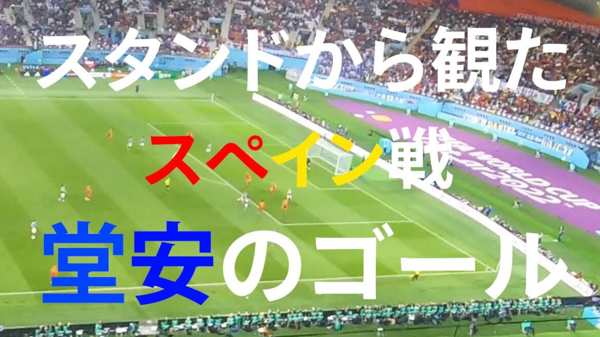 But de Doan contre l'Espagne