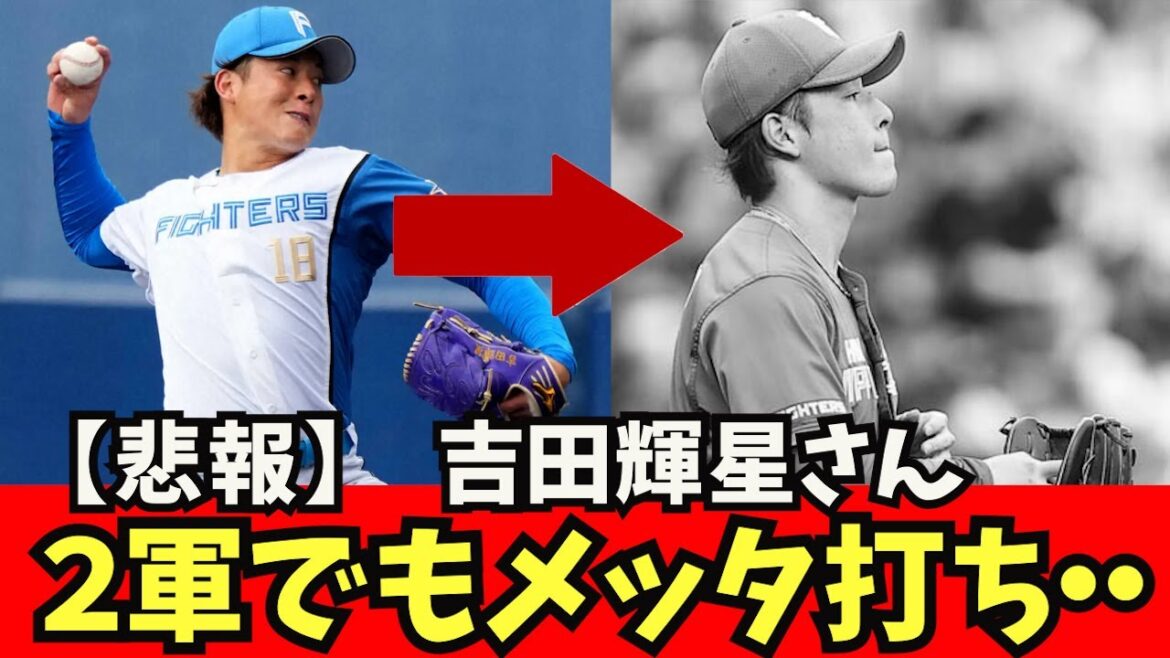 [Triste nouvelle]L'ancien fermier aux pieds d'or Teruyoshi Yoshida ne travaille pas dans la 2ème armée... Shohei Otani, Shintaro Fujinami, Aki Sasaki, Masanao Yoshida, Seiya Suzuki, Trout Troutani, Kodai Senga, Yu Darvish
