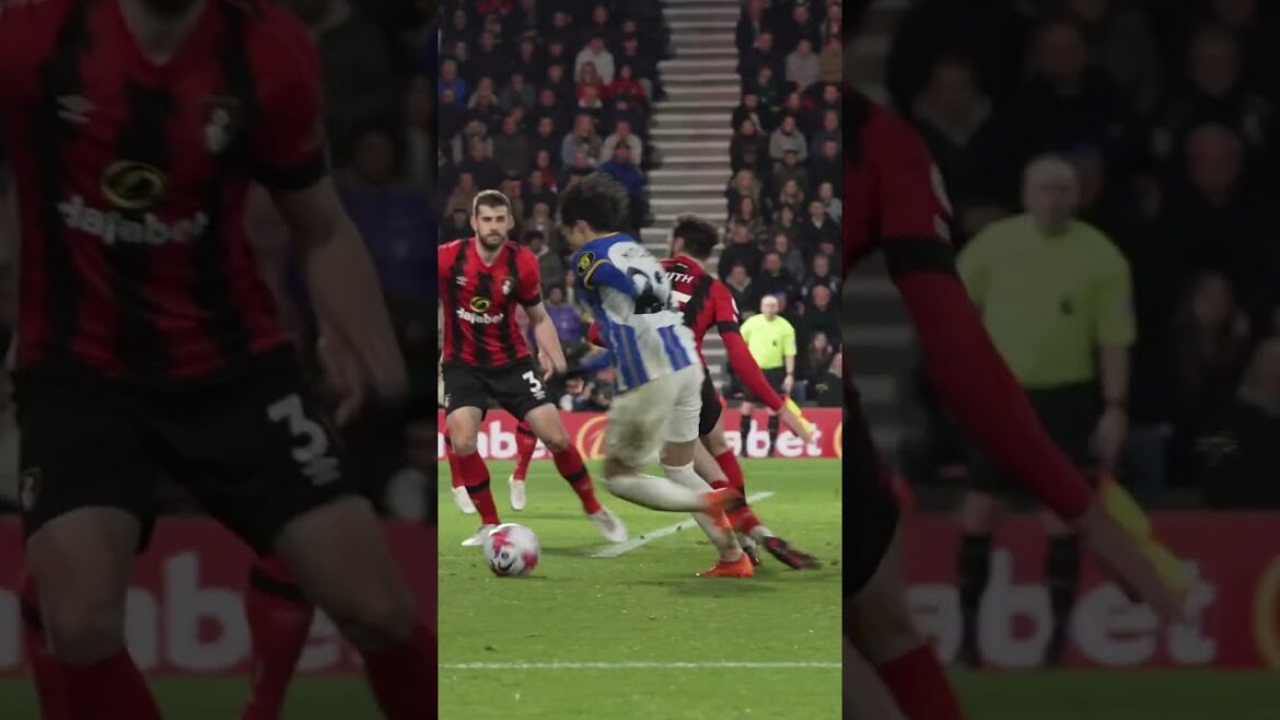 Attrape-moi si Kaoru peut 🏃🏻