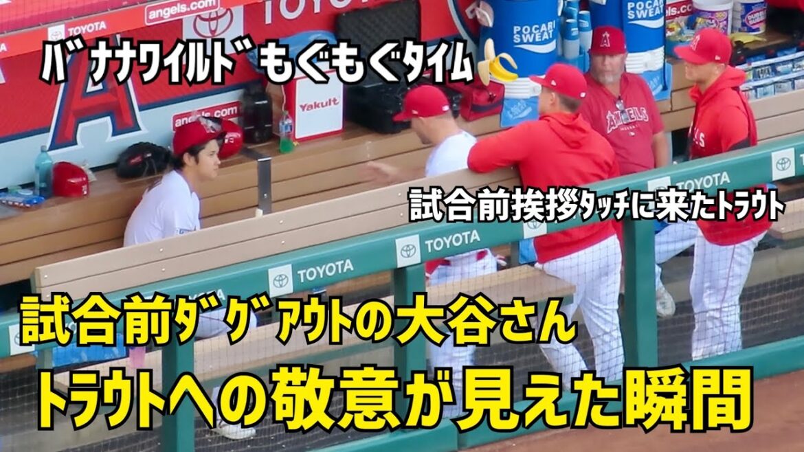Shohei Ohtani des Anges Anges Shohei Ohtani