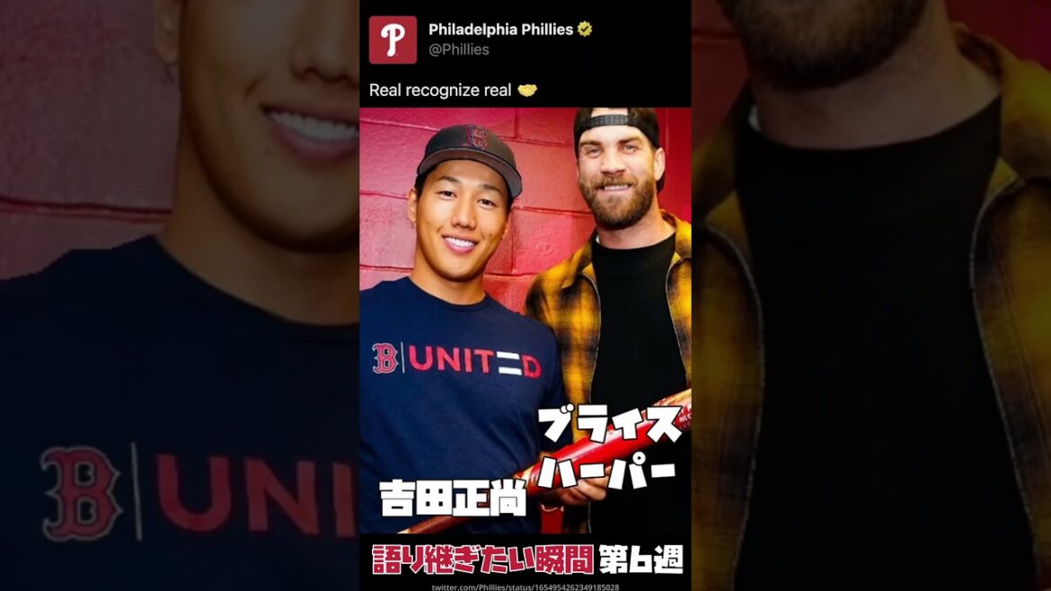 Histoire de la MLB | Résumé de la semaine 6 | Masanao Yoshida Shohei Otani Darvish Harper MVP de la semaine #baseball #mlb #ligue majeure