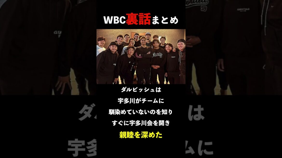 WBC Inside Story Summary Noot Bar et Darvish #shorts # Noot Bar