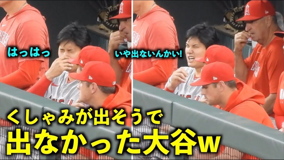 Je comprends cela w Shohei Otani, qui était sur le point d'éternuer et n'est pas sorti, est trop mignon[vidéo locale]Angels vs Orioles Round 2 5/17