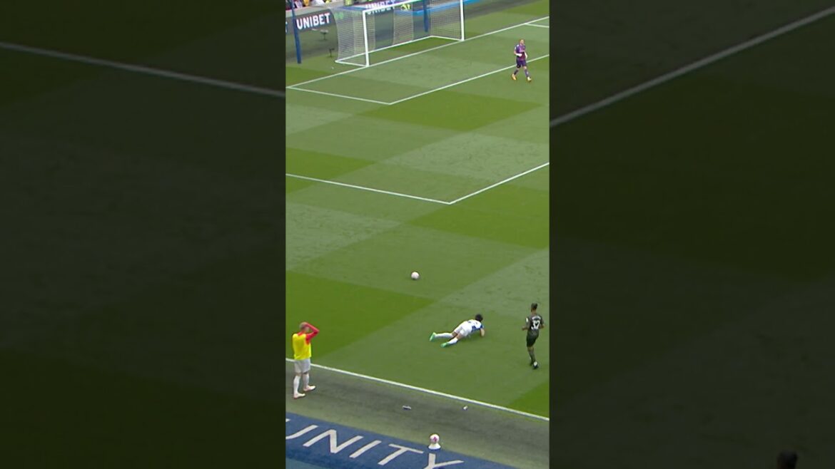 Mitoma NUTMEG contre Southampton 👀