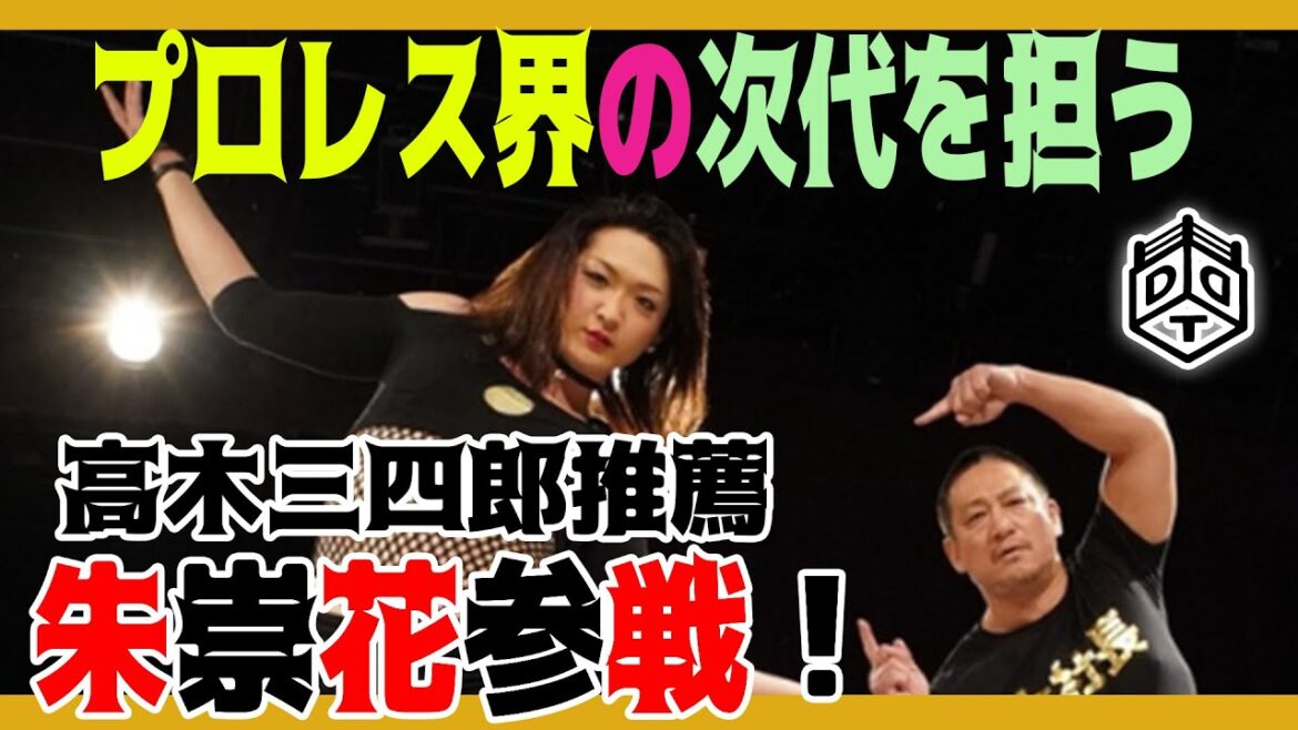 Match unique spécial Asuka vs Yuki Ueno 2019.1.17 Tournoi de Kanagawa