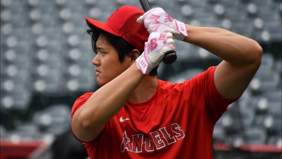 Entraînement au bâton de Shohei Ohtani (23/05/2023 à Anaheim)