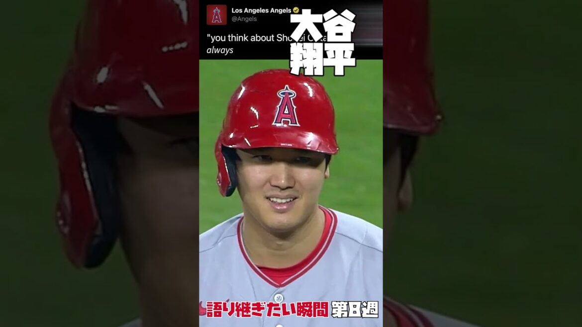 Histoire de la MLB | Résumé de la semaine 8 | Seiya Suzuki Kodai Senga Shohei Otani Braves Judge Tatis #Baseball #mlb #Major League