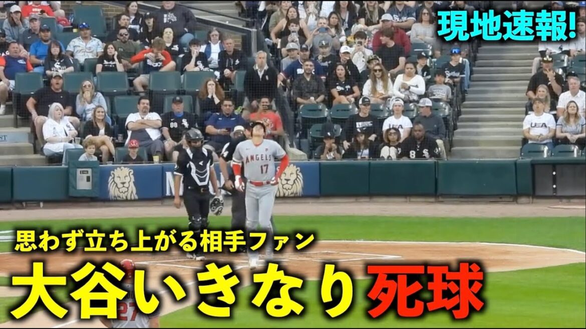 Soudain, elle s'évanouit à l'agonie avec une balle morte ! Applaudissements des fans des terres ennemies pour les tripes de Shohei Ohtani ![Images locales]Angels vs White Sox Game 1 30 mai